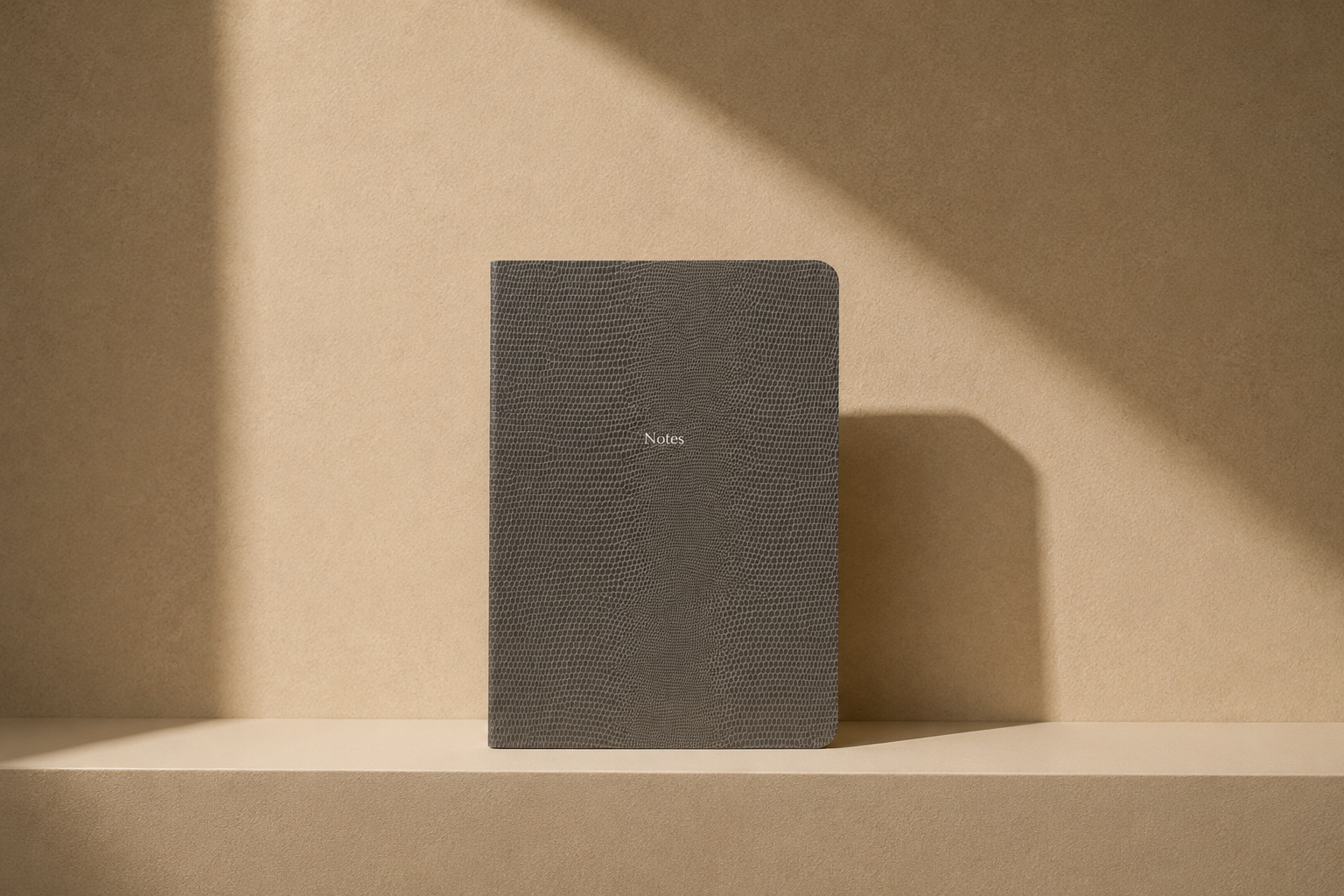 Pellaq Notebooks