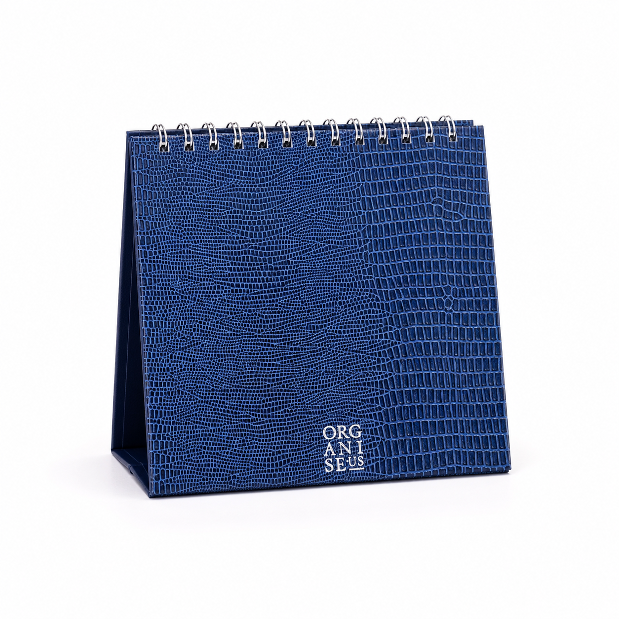 Desk Calendar in Marine Blue Iguana - 12 months