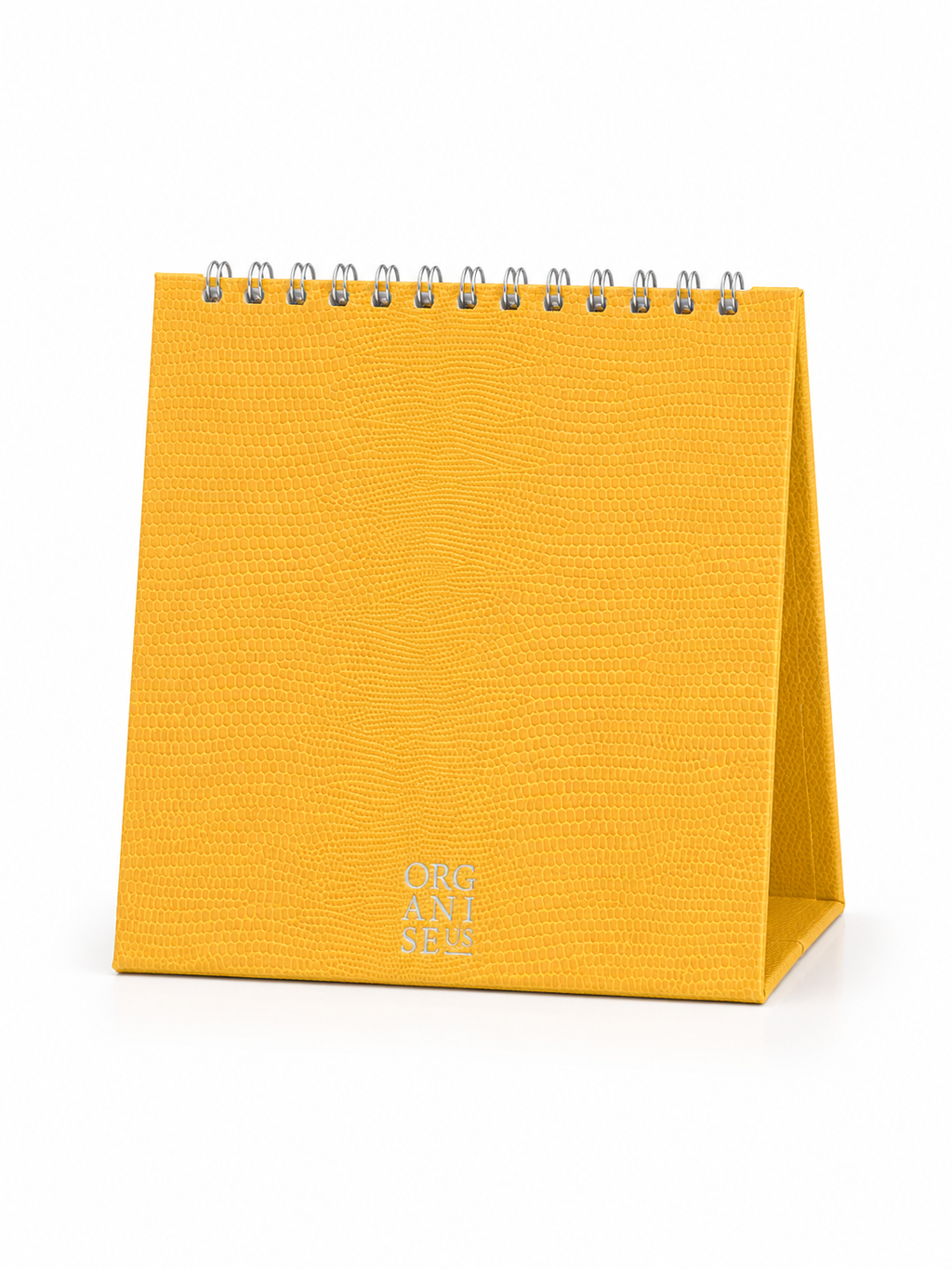 Desk Calendar in Buttercup Lizard - 12 months