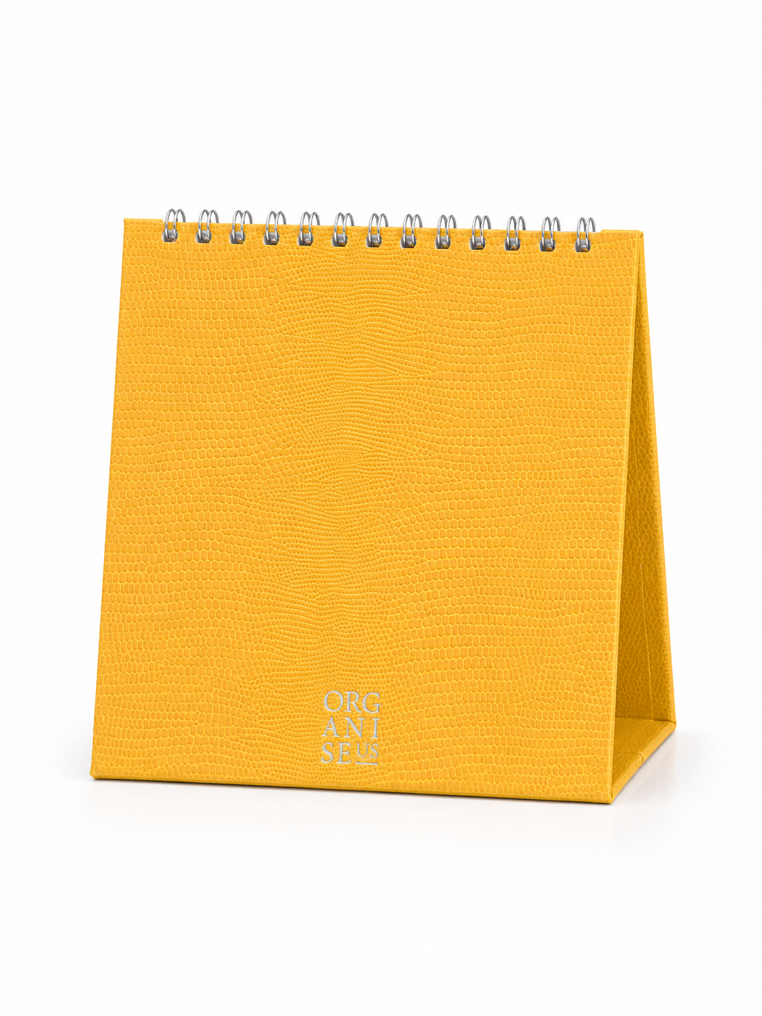 Desk Calendar in Buttercup Lizard - 12 months