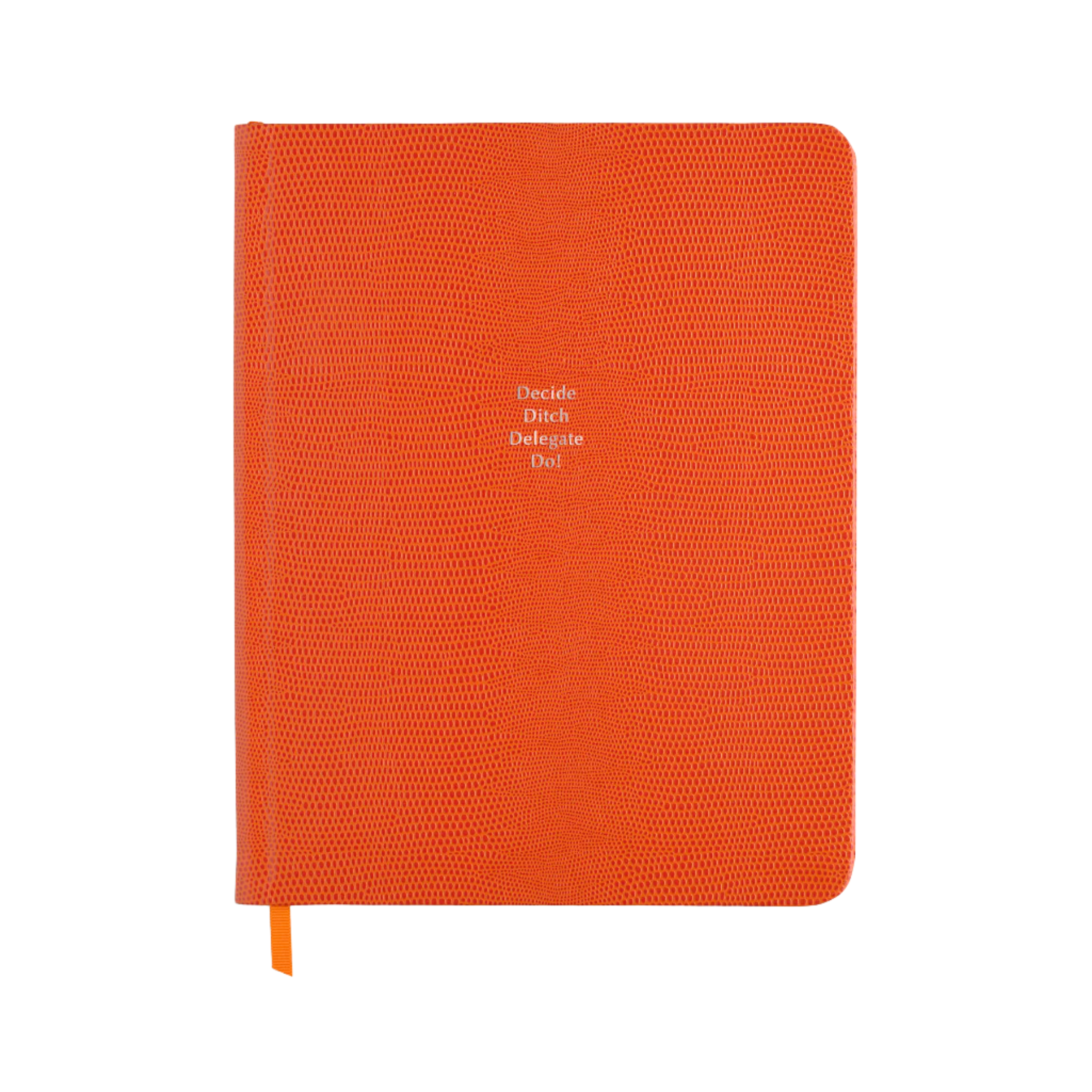 Decide Ditch Delegate Do! - Large in Clementine lizard- Feint ruled