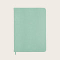 Midsize Ruled Pellaq Notebook in Mint Green Lizard