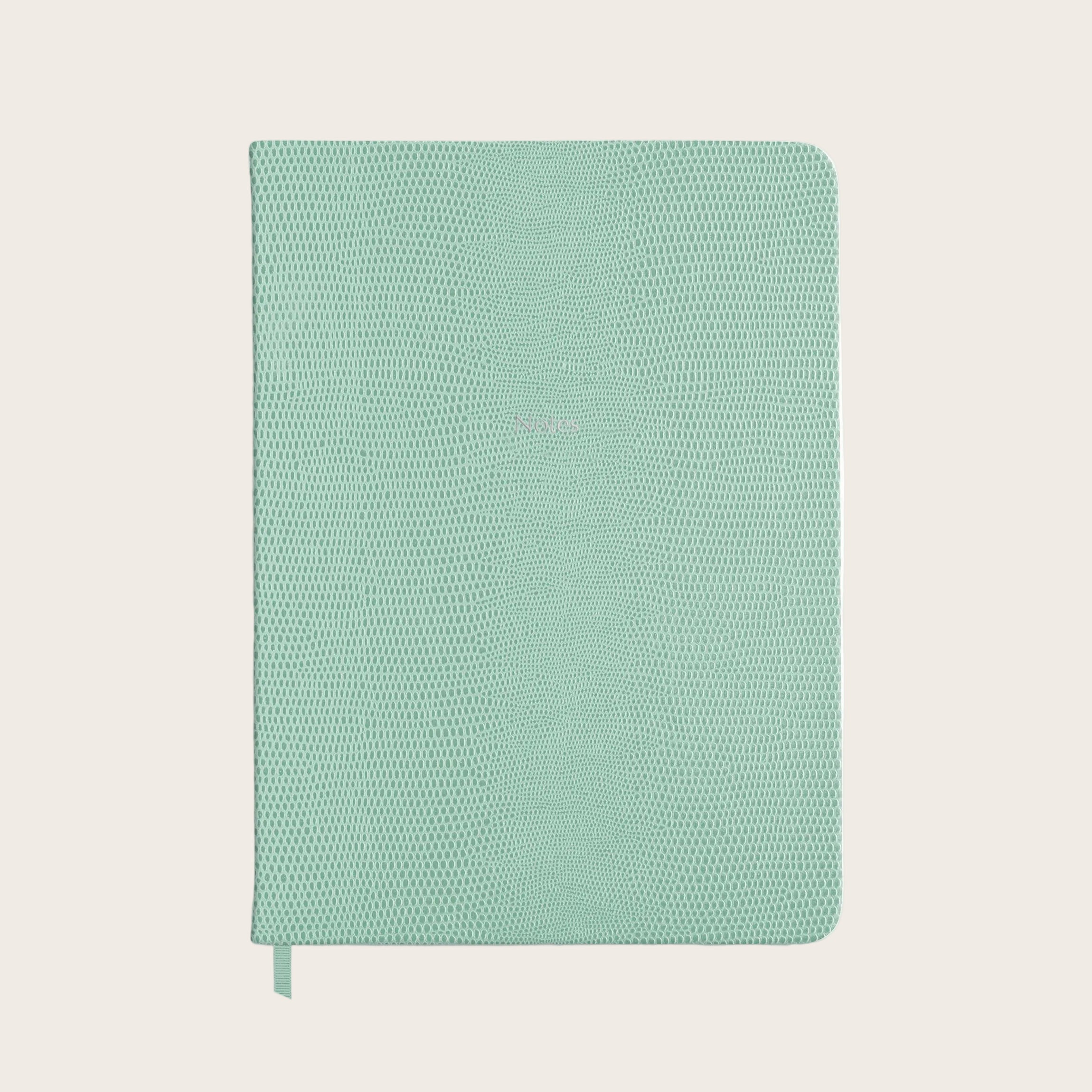 Midsize Ruled Pellaq Notebook in Mint Green Lizard