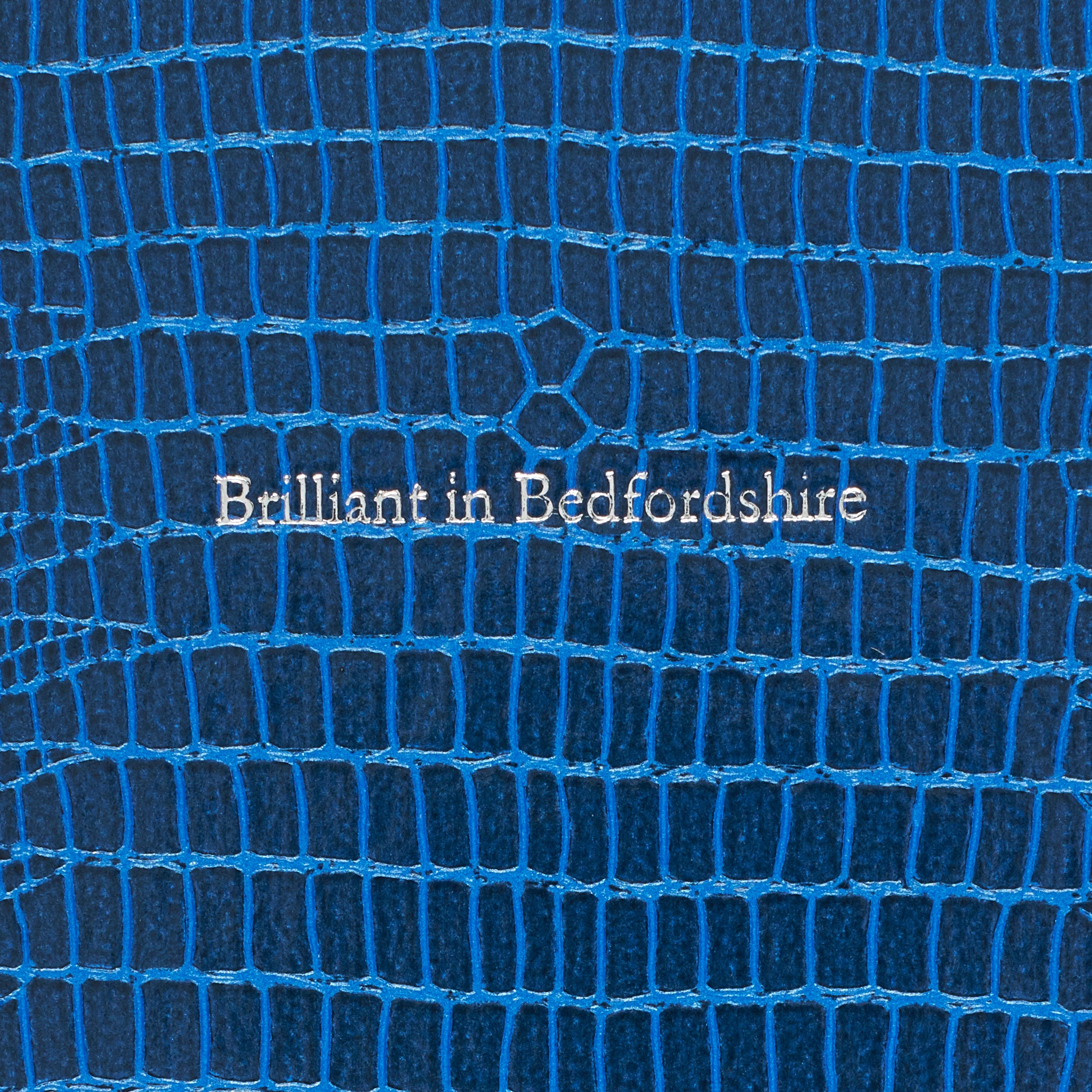 Small Bedfordshire Pellaq Notebook in Tanzanite Iguana