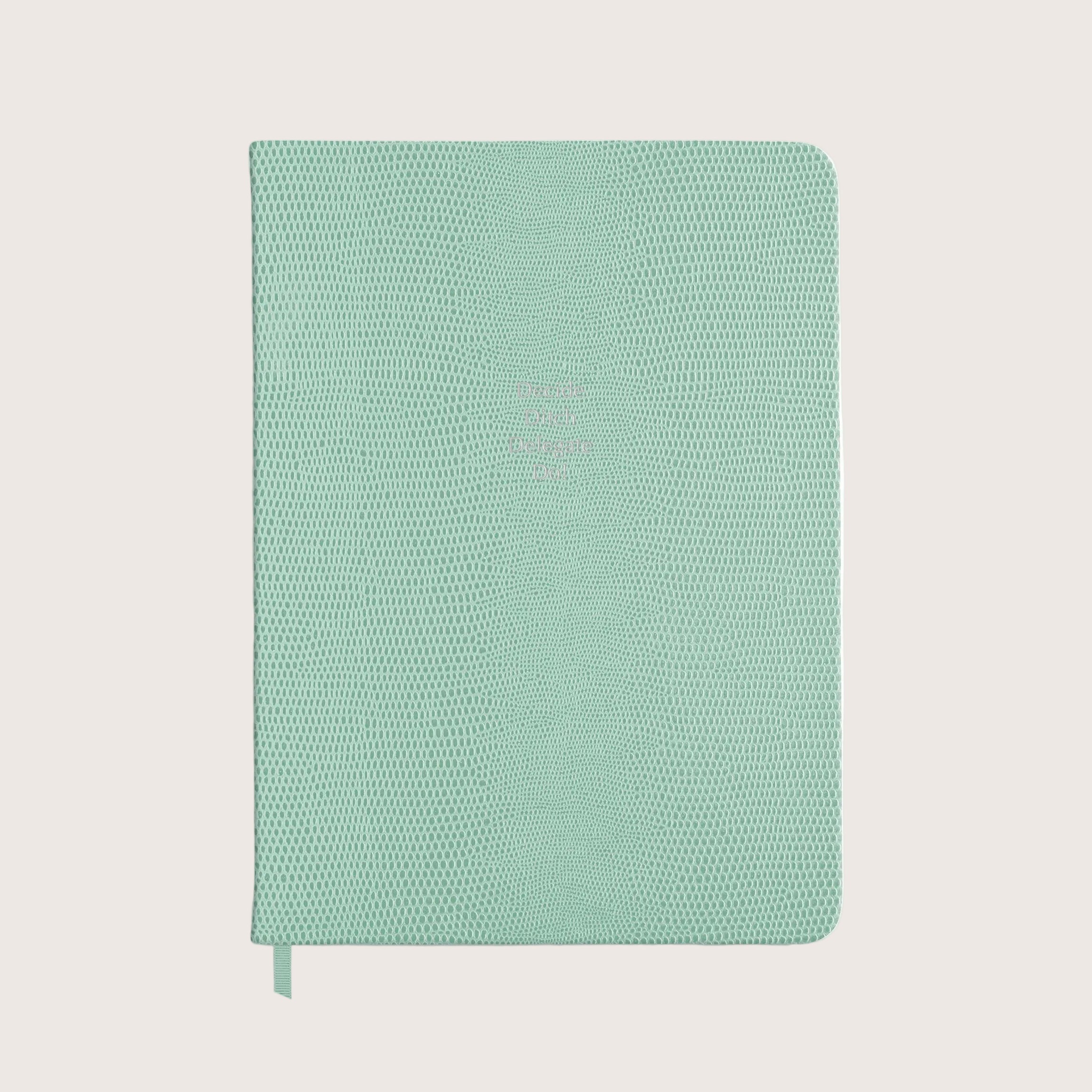 Midsize Ruled Pellaq Notebook in Mint Green Lizard - Decide Ditch Dele ...